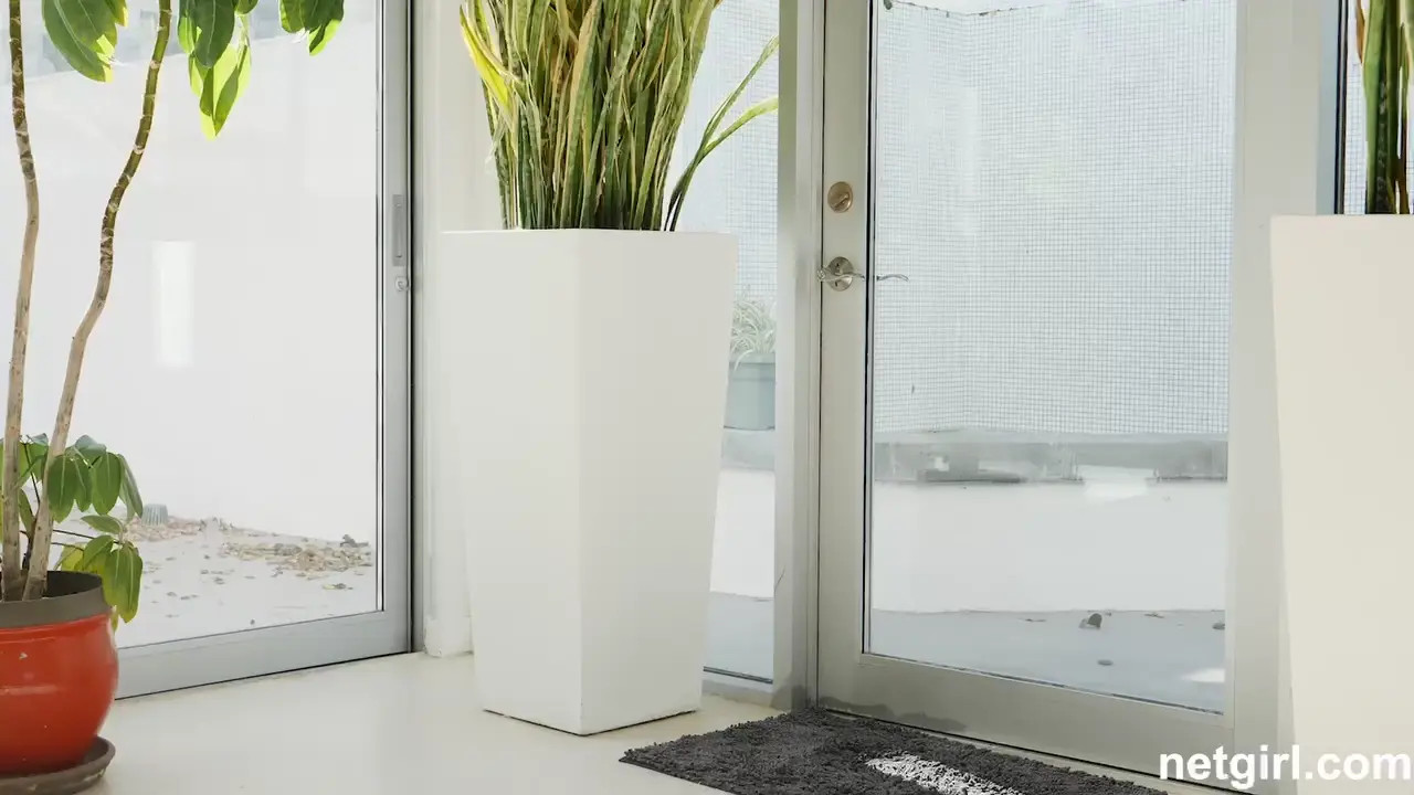 Mia Molotov And Maya Farrell Share Dick