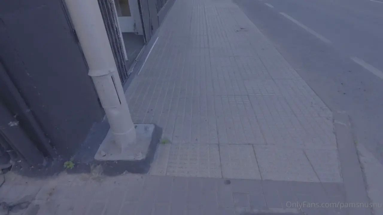 Pamsnusnu Gets Pounded In The Garage