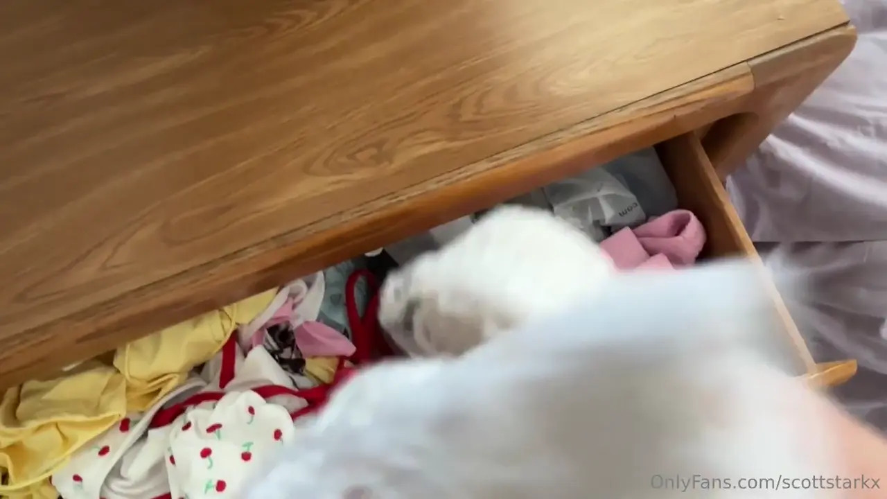 BaphiBabi666 Gets Creampied By Scott Stark