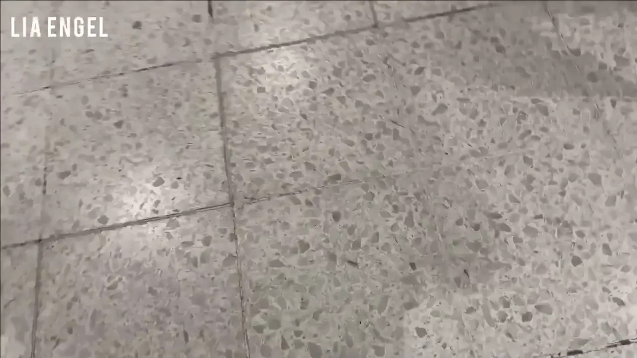 Fulfilling Lia Engel's Bathroom Sex Fantasy