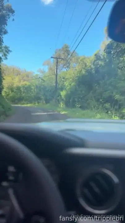 Trippie Bri Gets Drilled On The Backseat