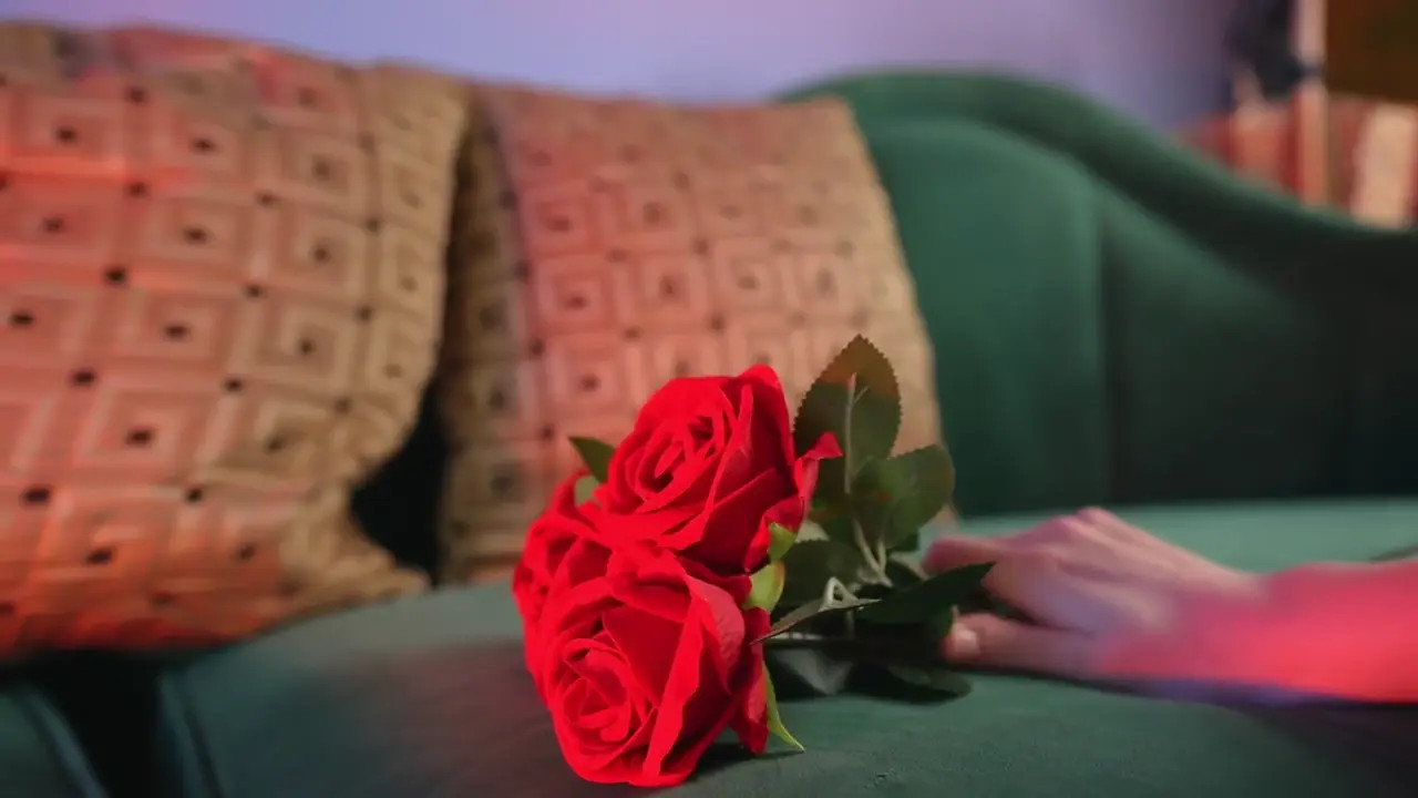 Diana Rider As Morticia Addams Sex Tape With Gomez