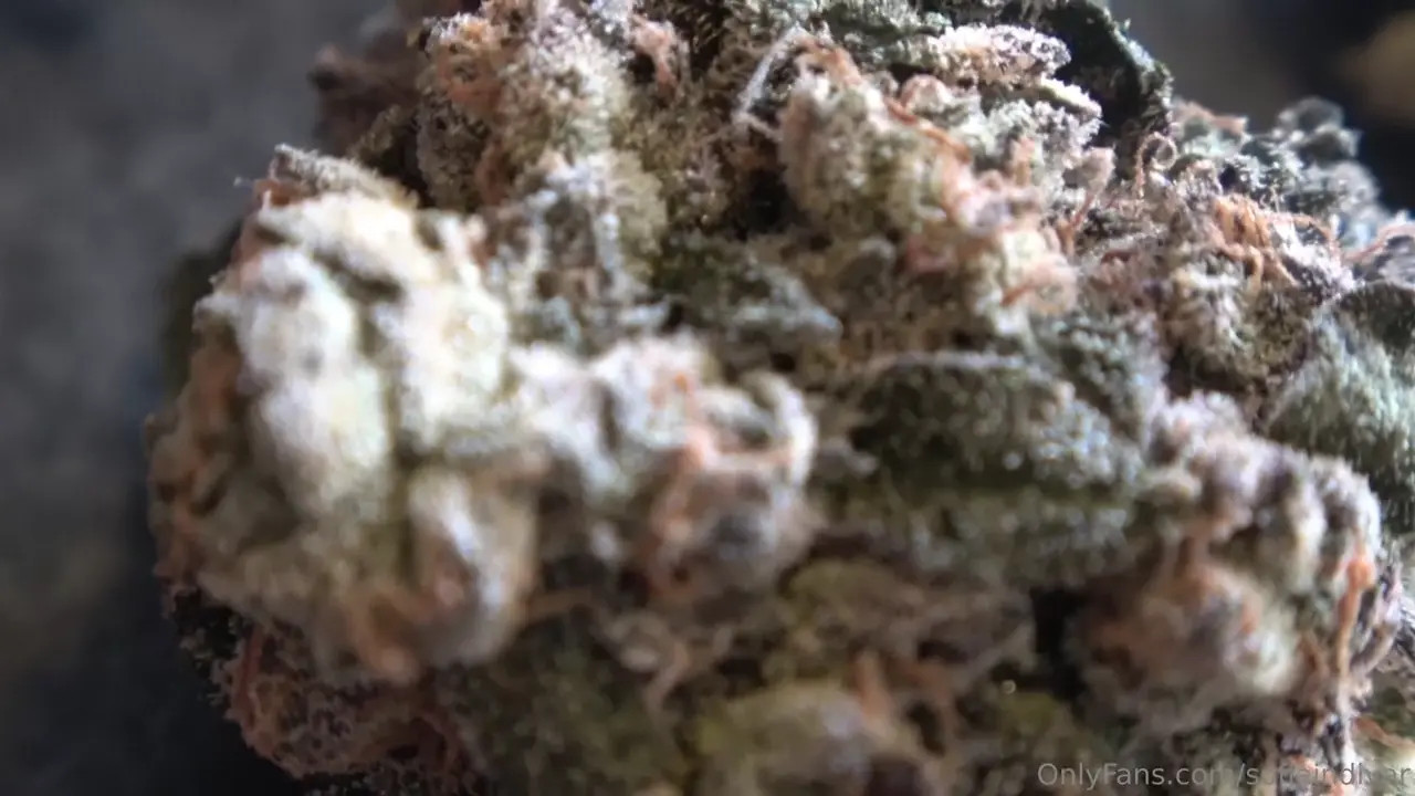 SofiaIndivar Gets Taken Deep By John Lemon