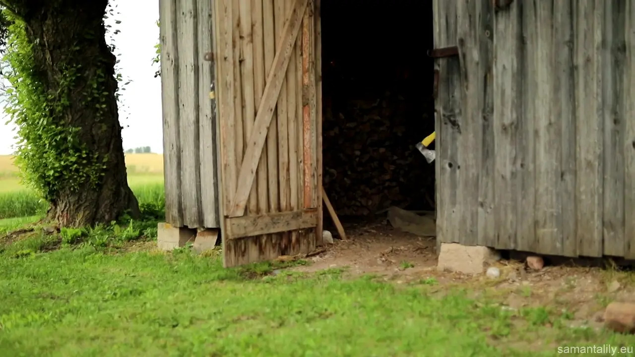 Samantalily Strips Then Flashes Her Boobs Outside - ePornLeak