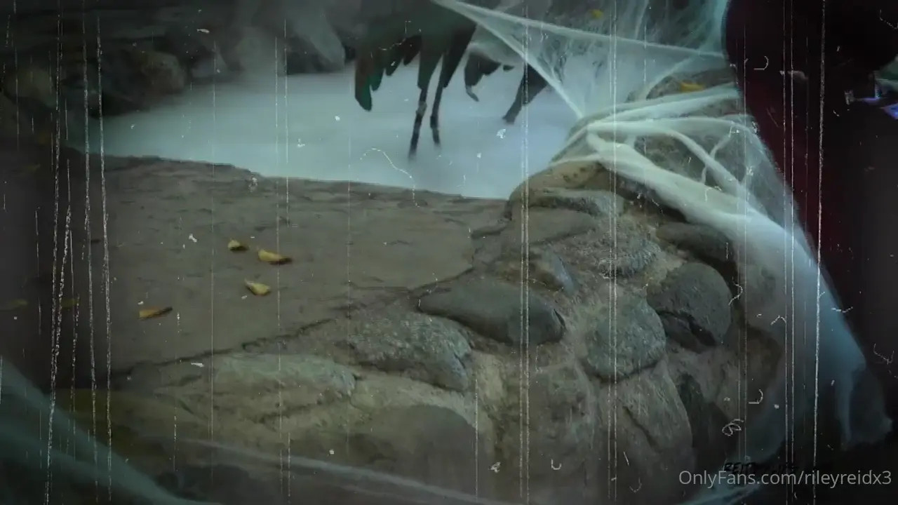 Riley Reid & Casey Calvert's Halloween Threesome