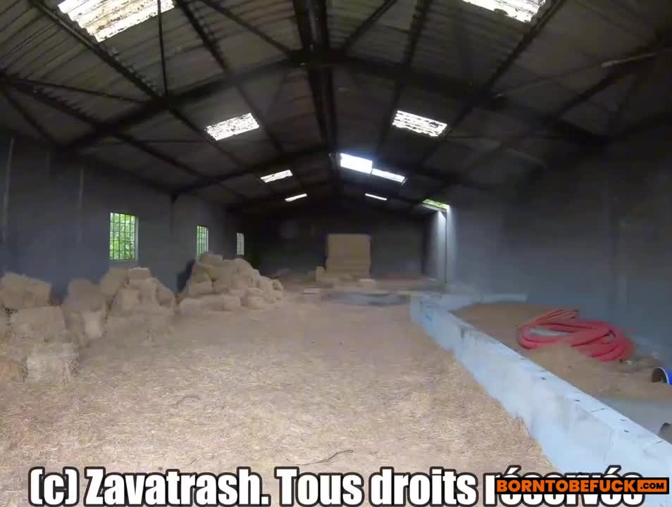 Zavatrash BBG Threesome with Horny Pigs Sextape Video Leaks