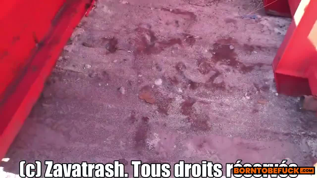 Zavatrash Behind Rubbish Bins Orgy Porn Video Leaked