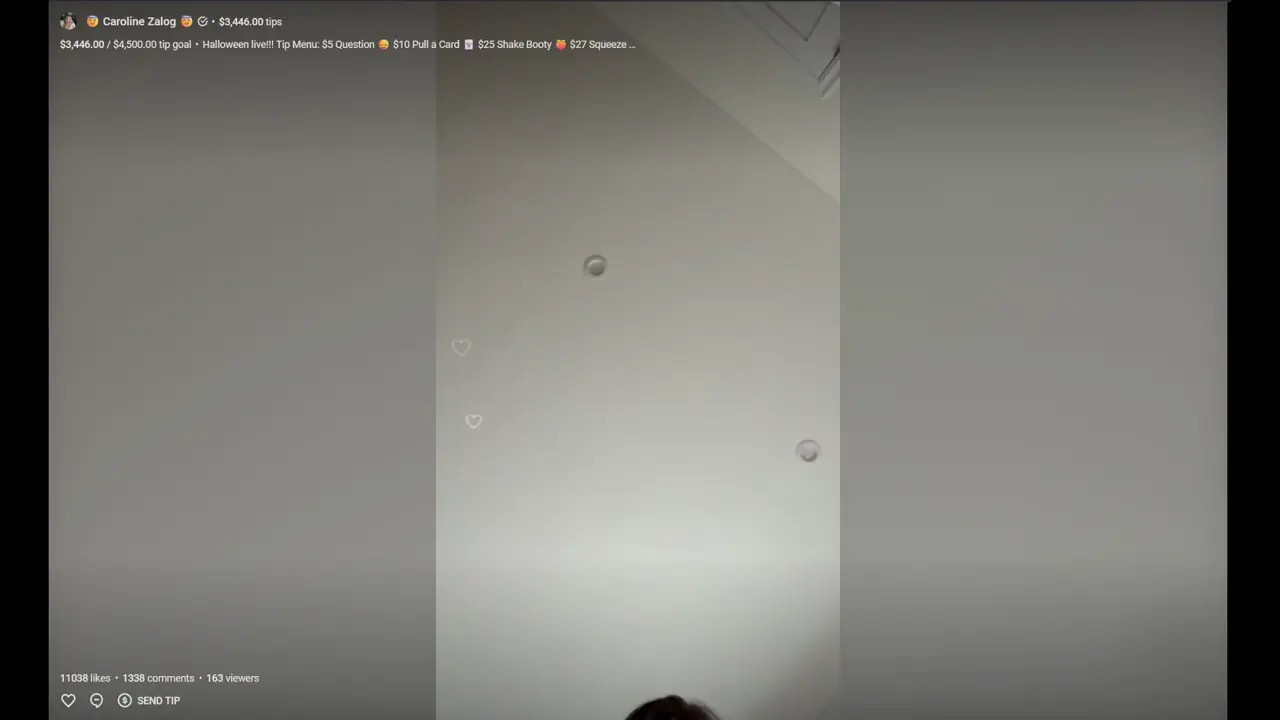 Bunny Caroline Zalog Teases In Her Livestream